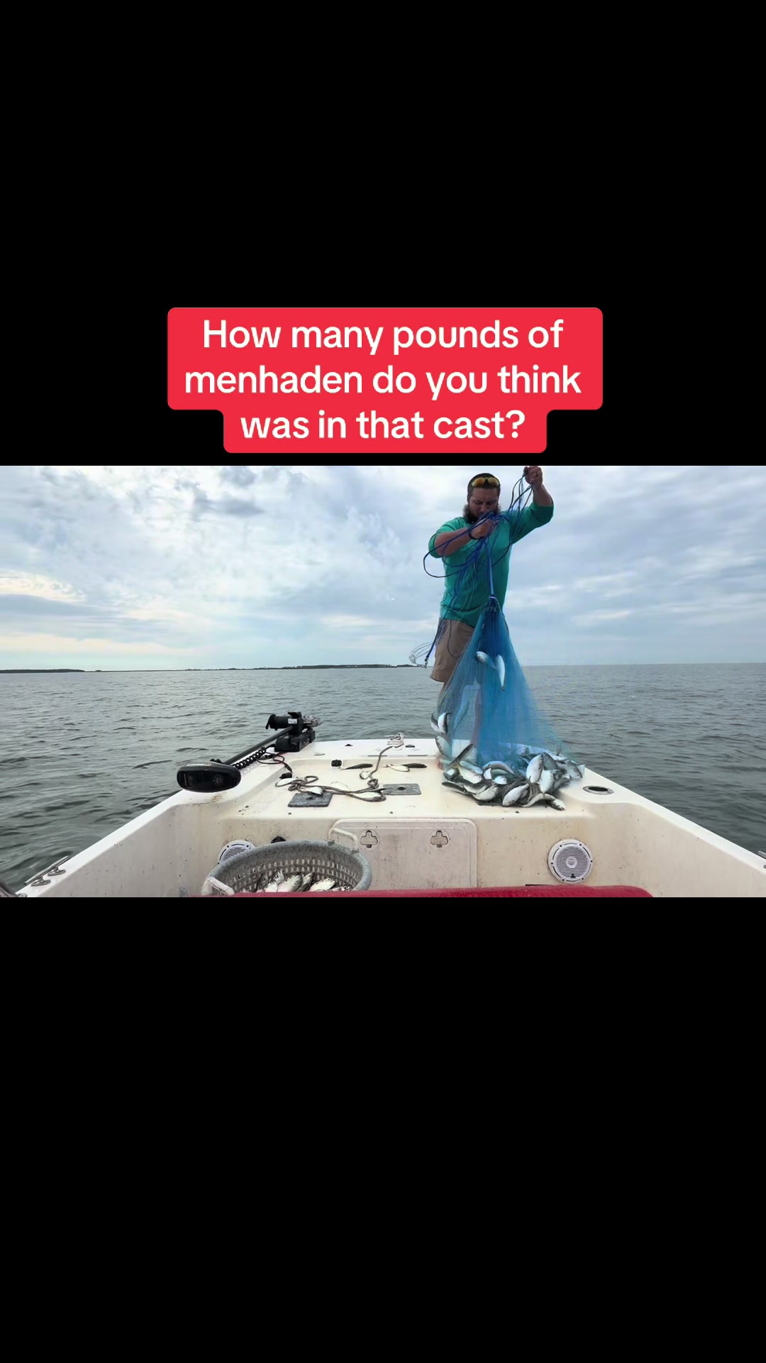 @BeaufortSC_Bait