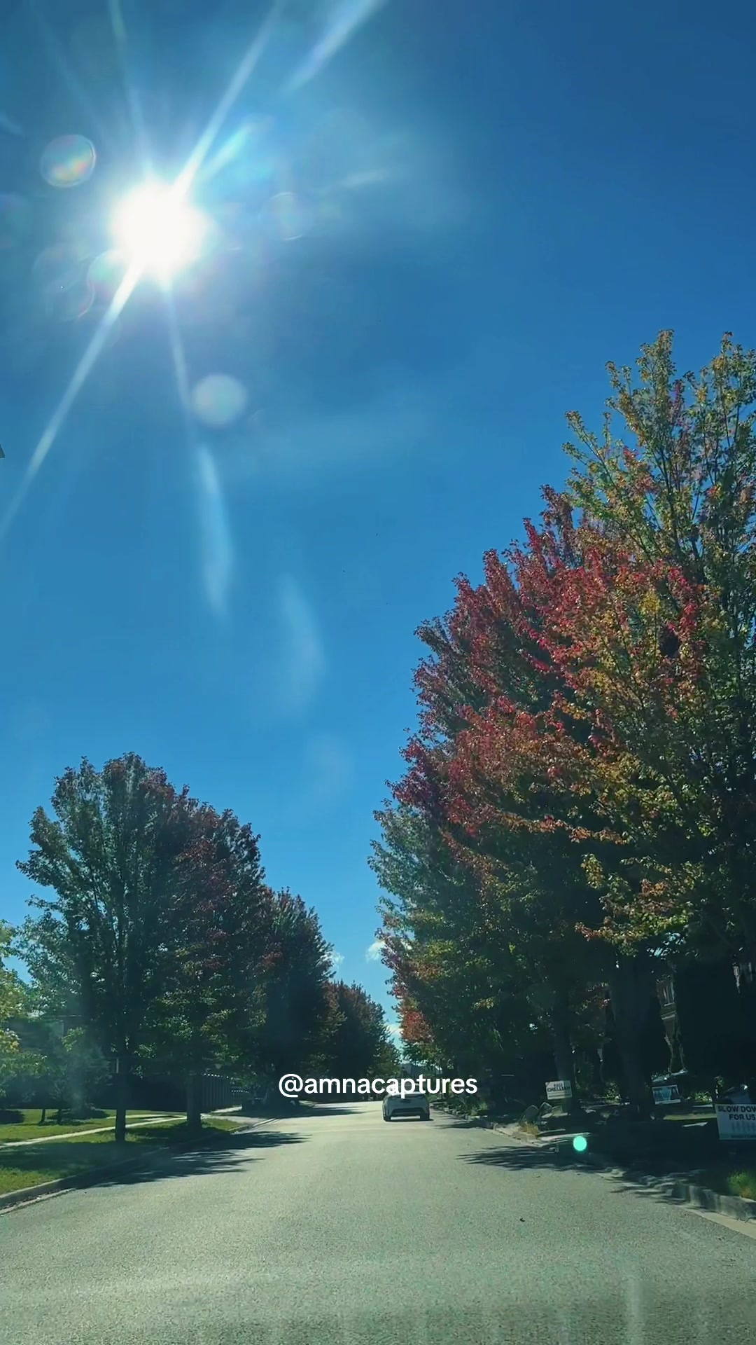 @Nature lover 🇨🇦