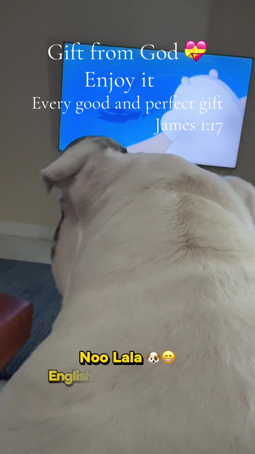 @followjesuswonwon
