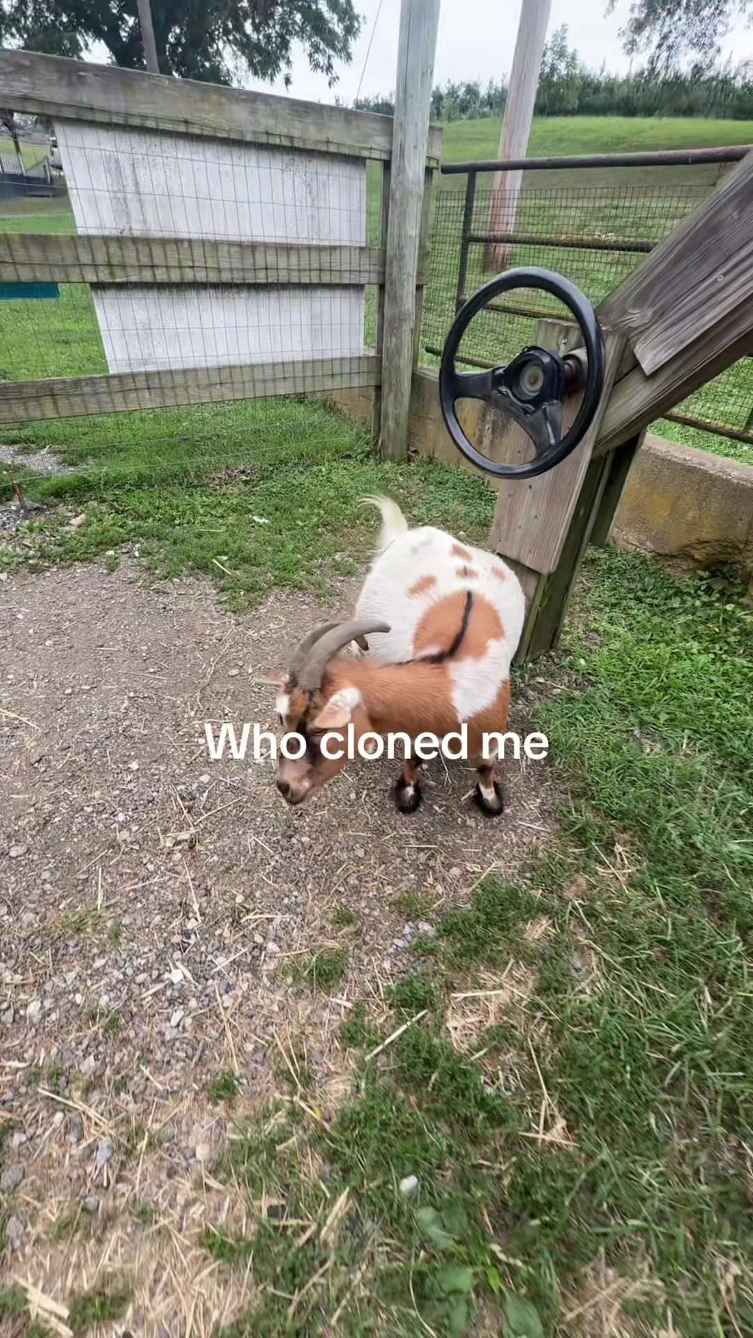 @udontknowme