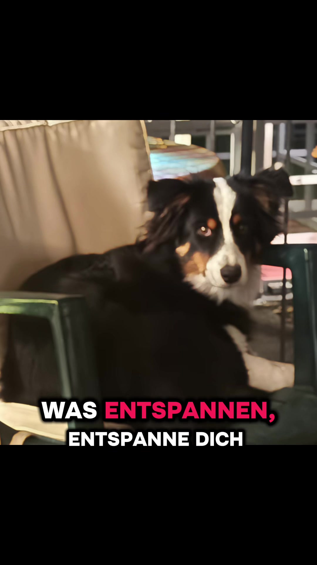 @🐕Di Ana🐕