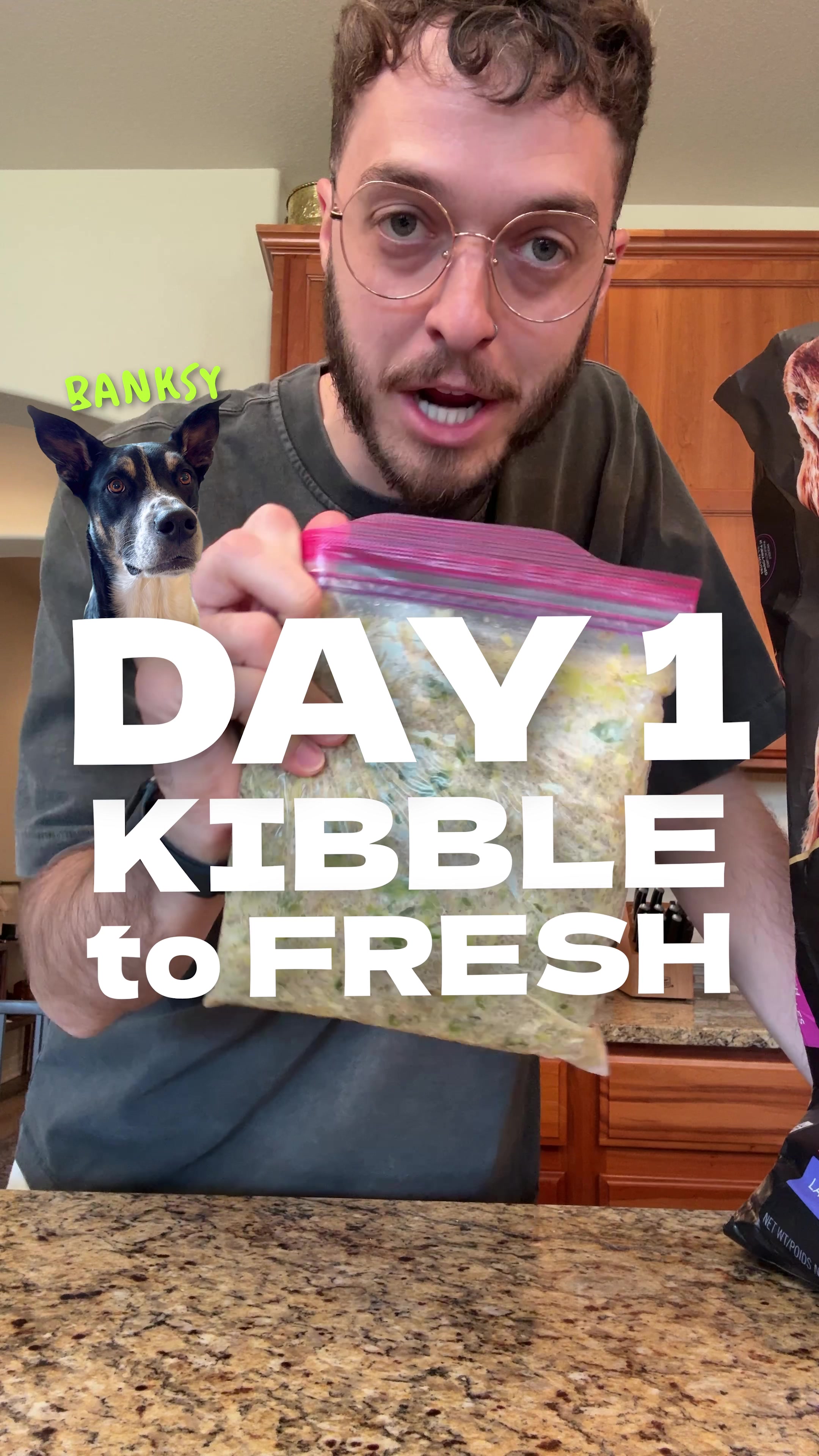 @The BK Pets - Dog Food Tips
