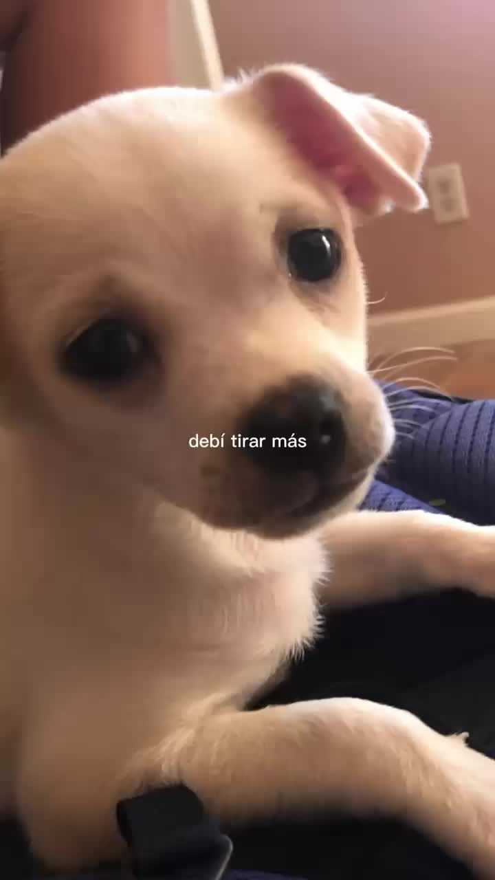 @Vic