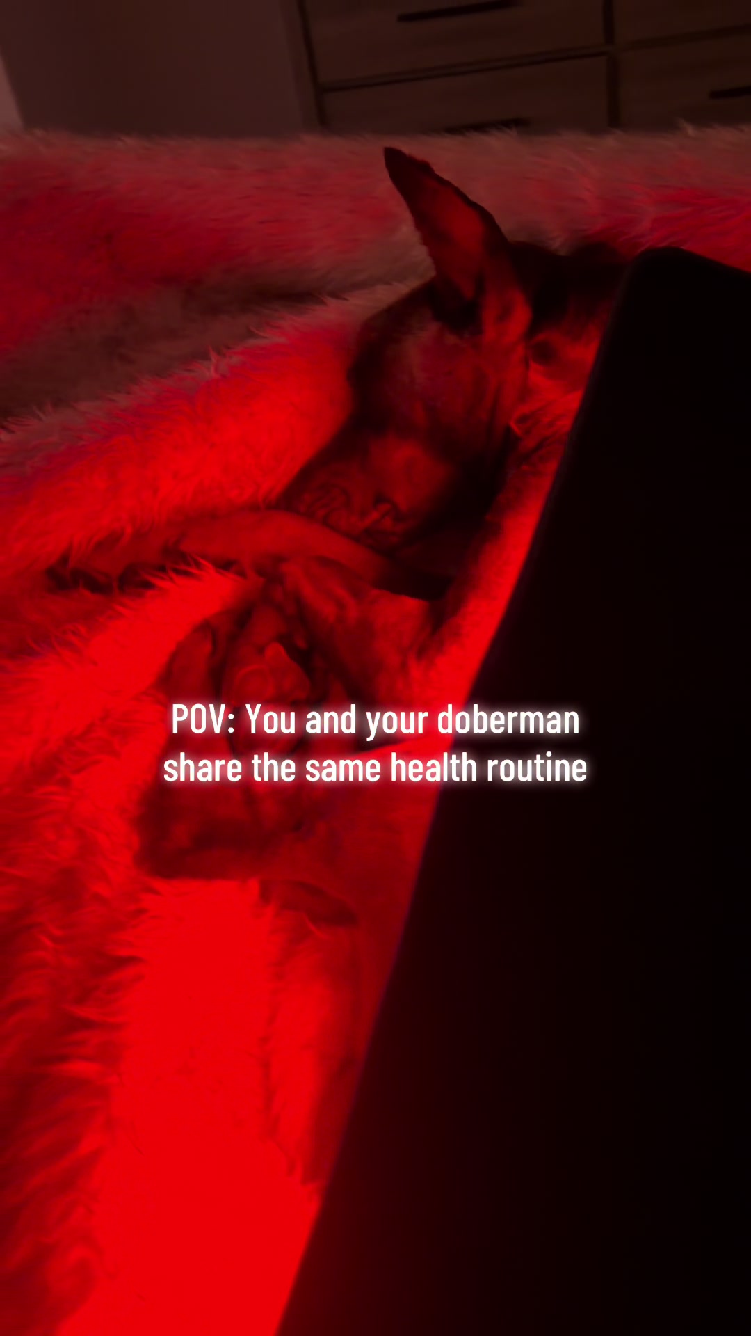 @rachelbarn