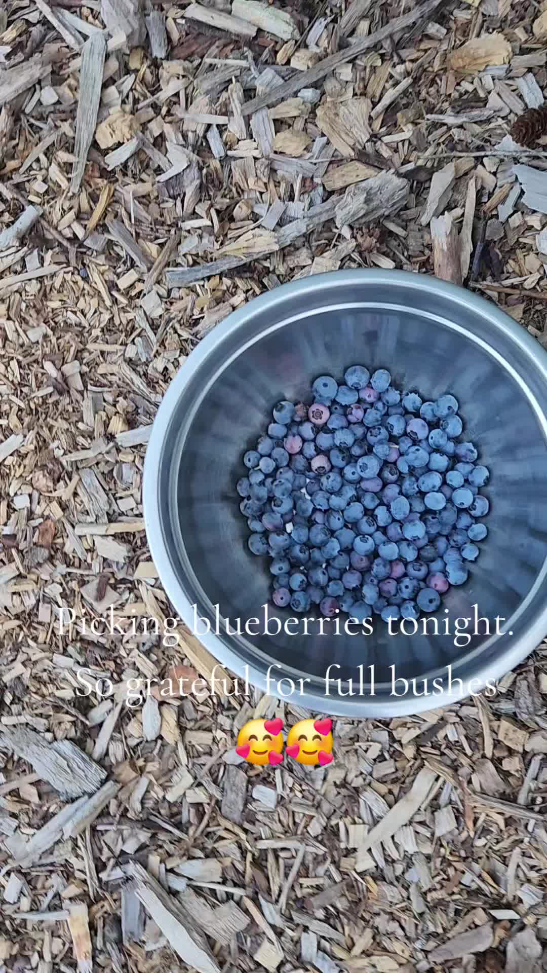 @smith__homestead33