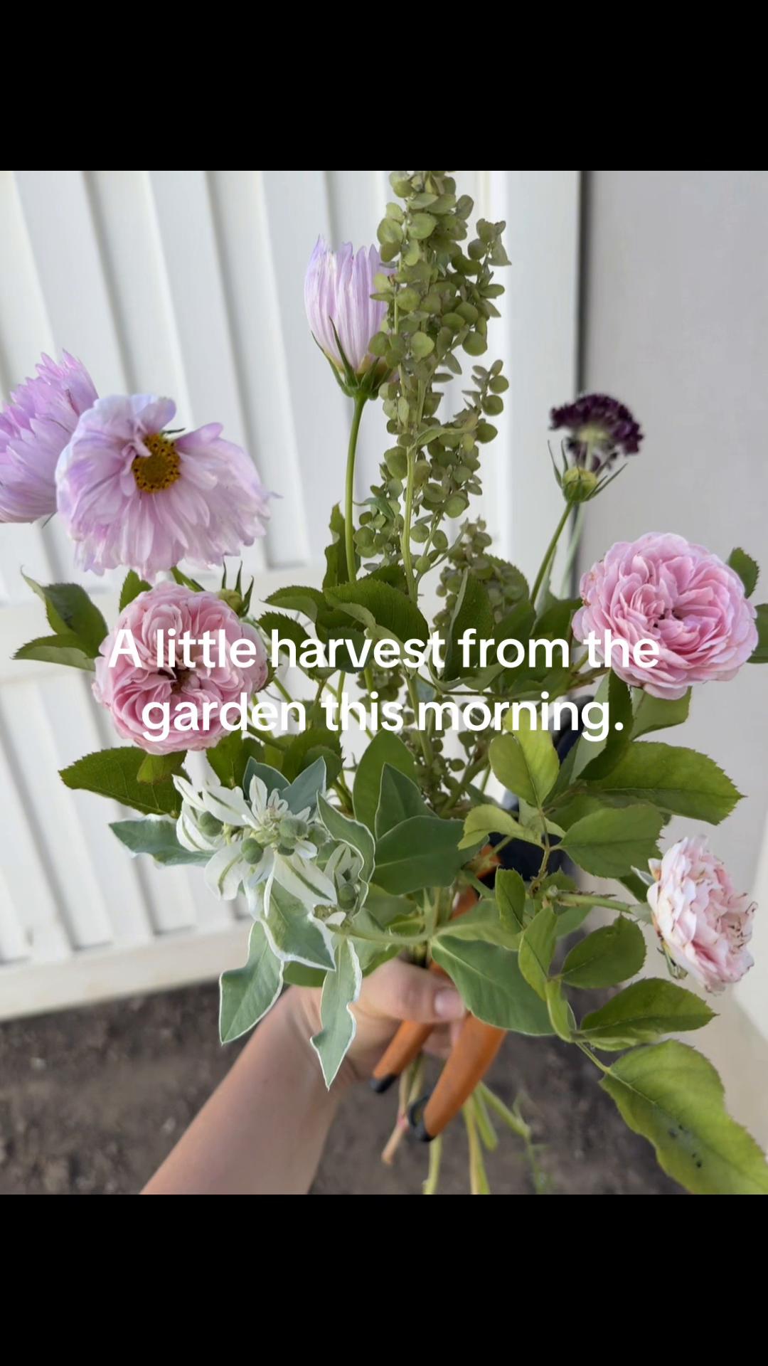 @Liv Floral
