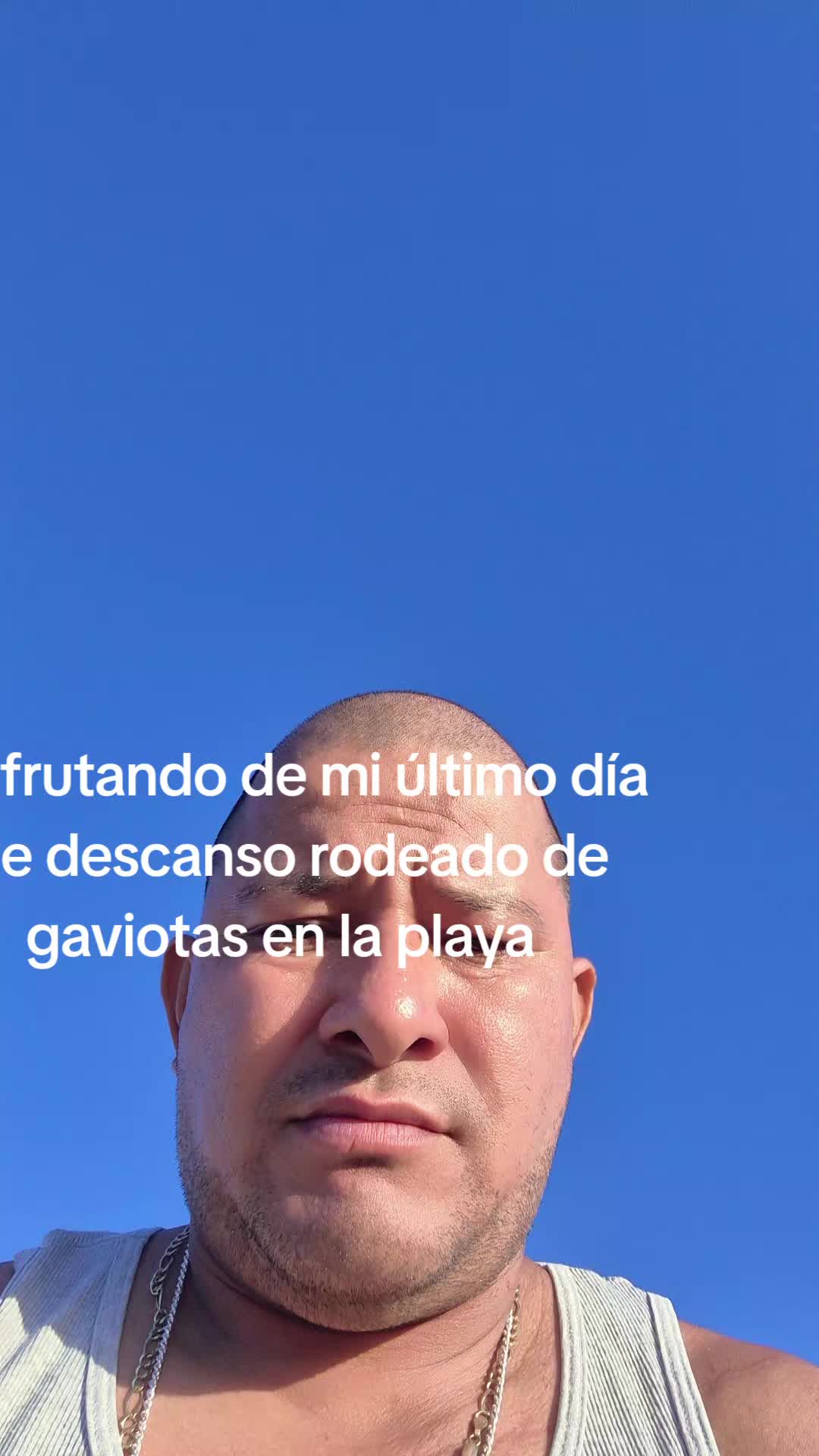 @@cafecanelo2denuevo