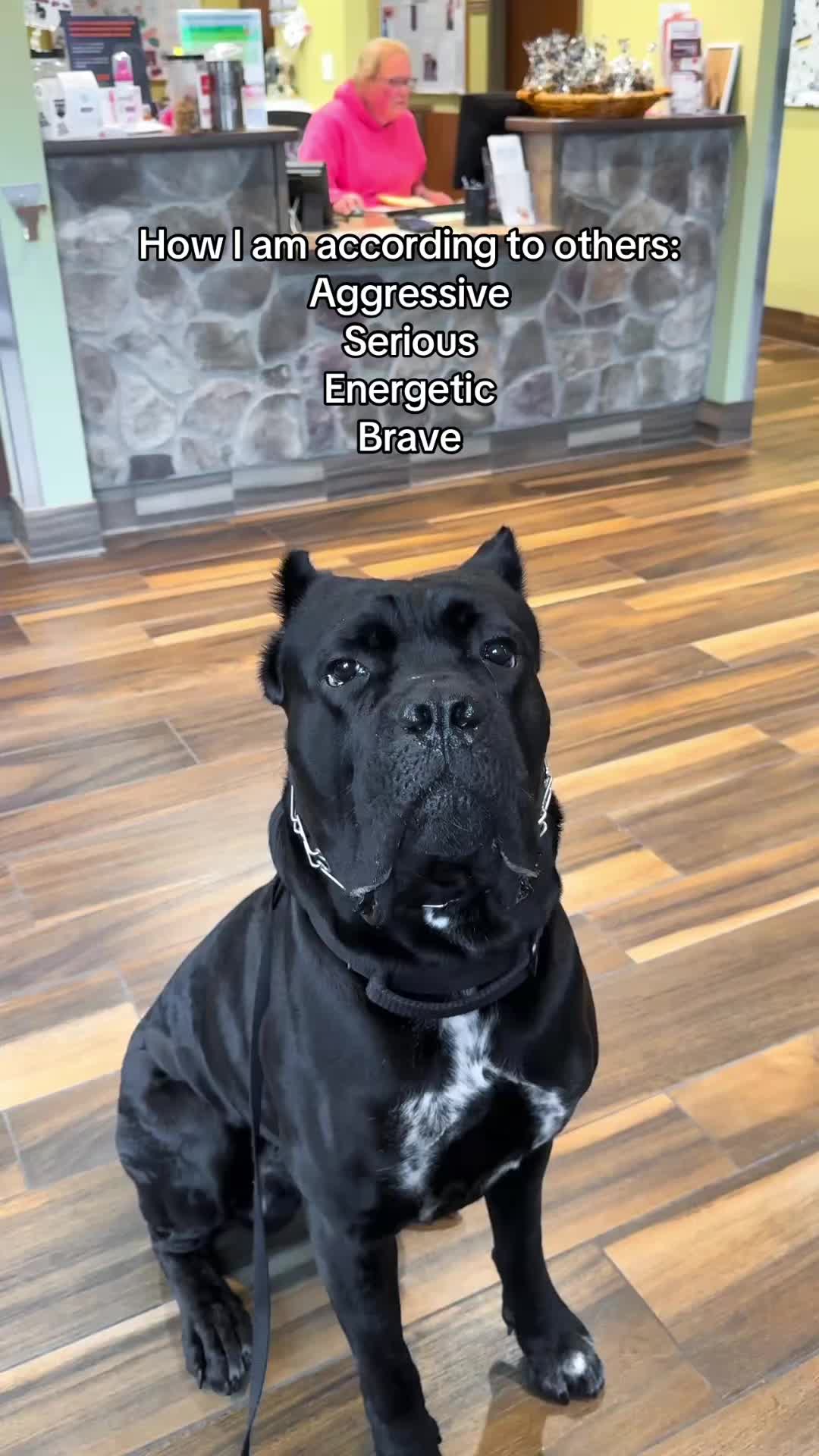 @Bentley Has Issues