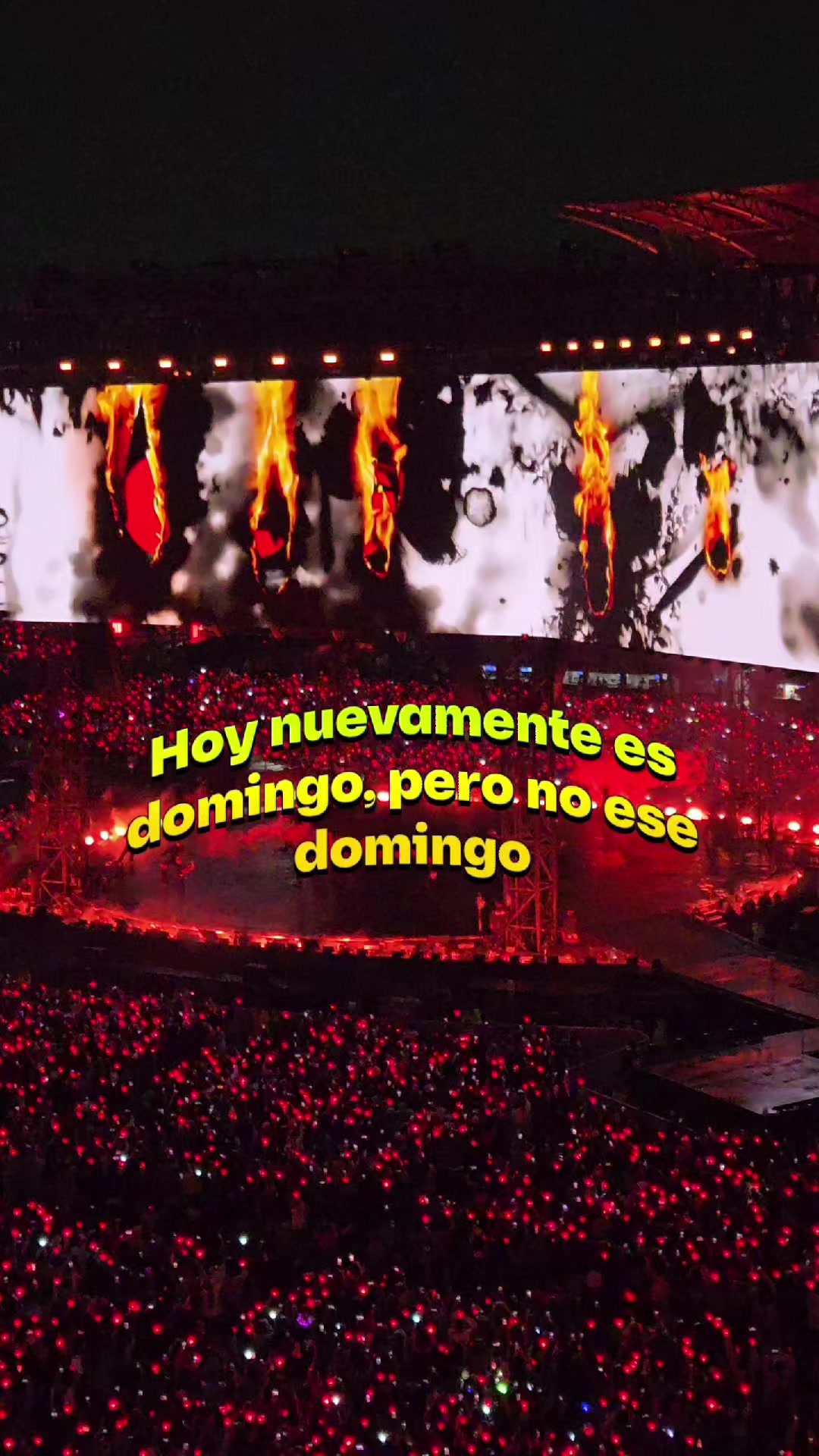 @&bull;-&bull; Menely Kim &bull;-&bull;