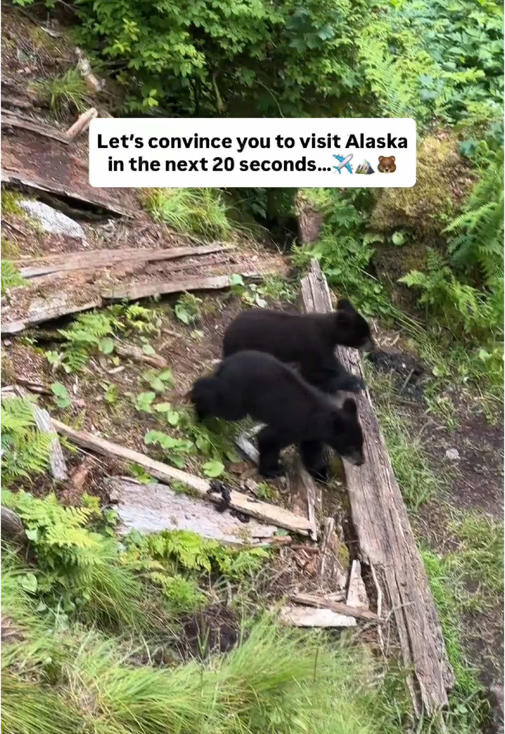 @The Adventure Docs