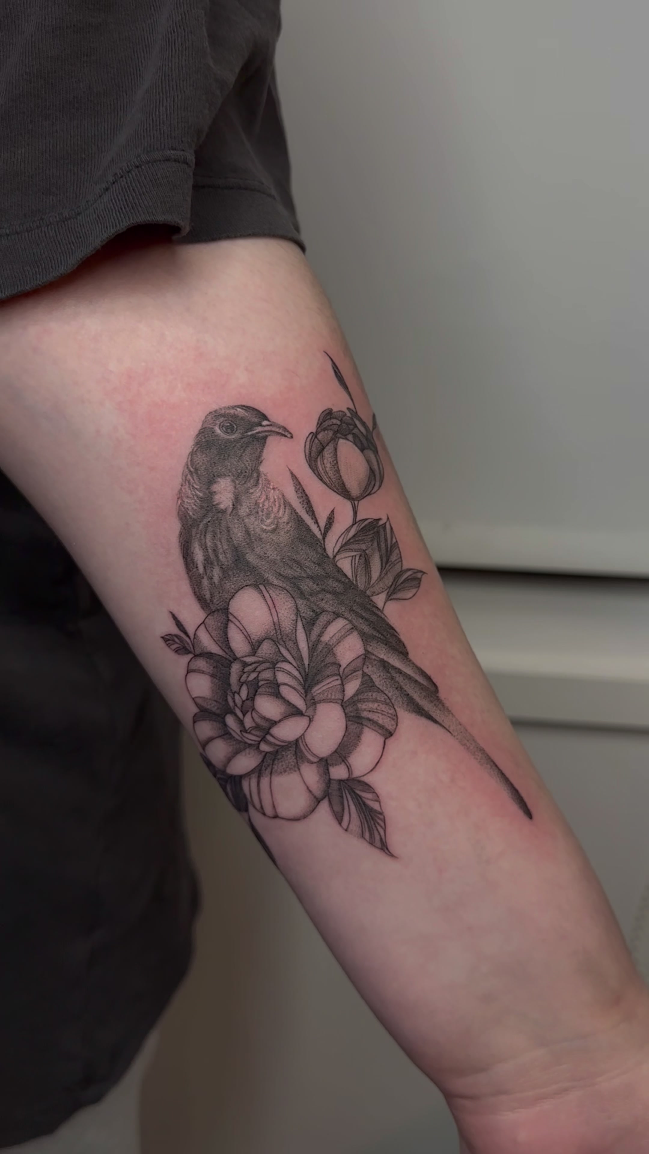 @Apanui.ink