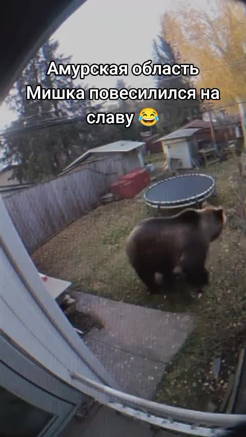 @Надежда