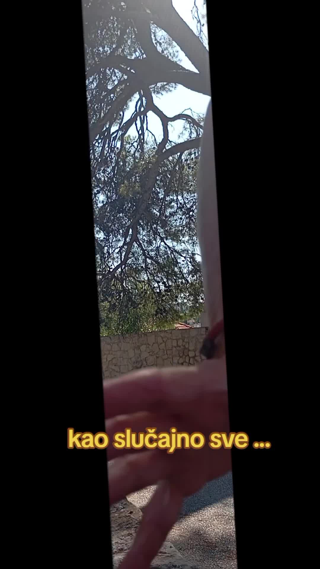 @teta Biba