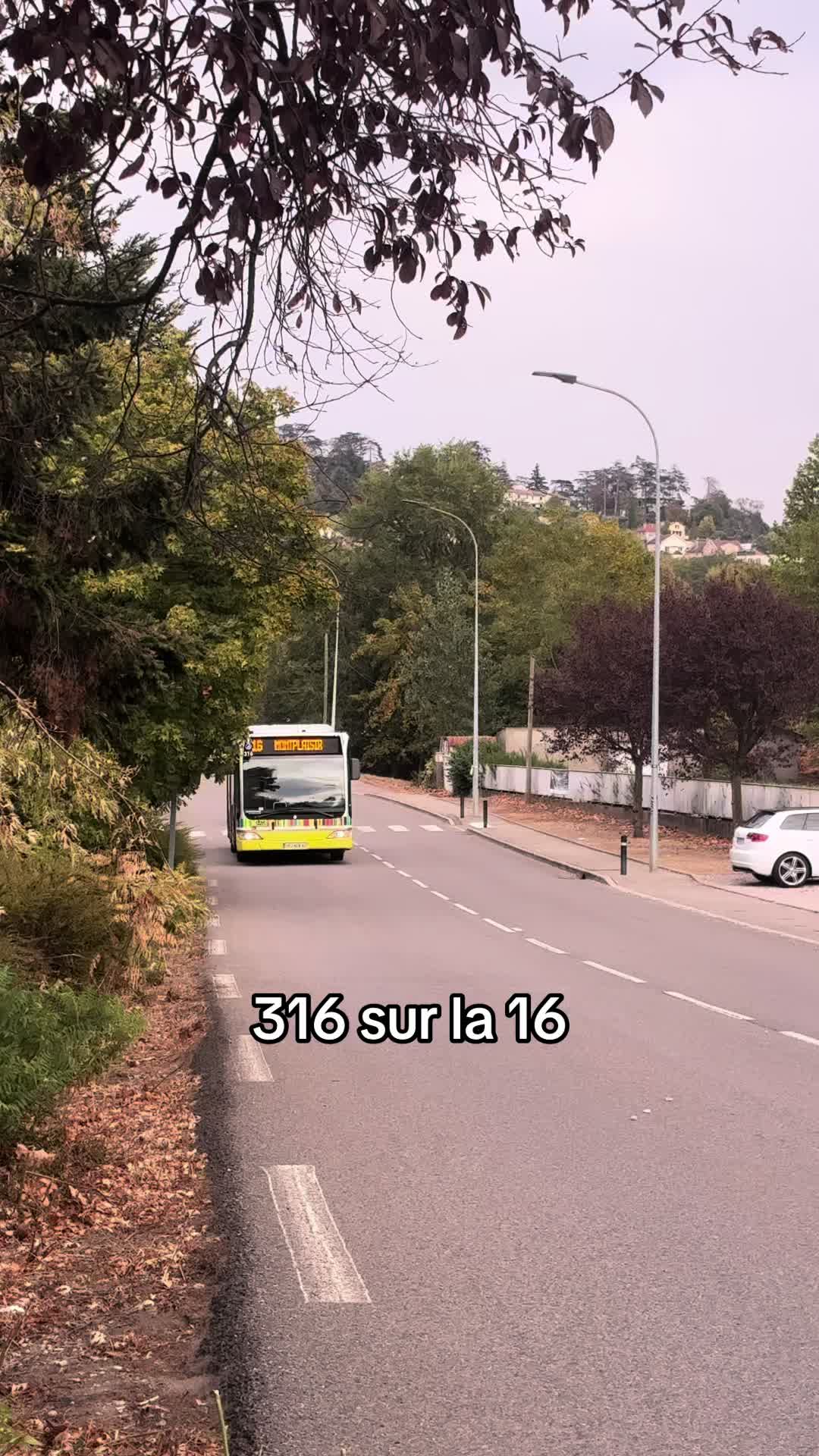 @ʟᴀ sᴛᴀs ᴀᴠᴇᴄ ʟᴇs ᴄɪᴛᴀʀᴏ
