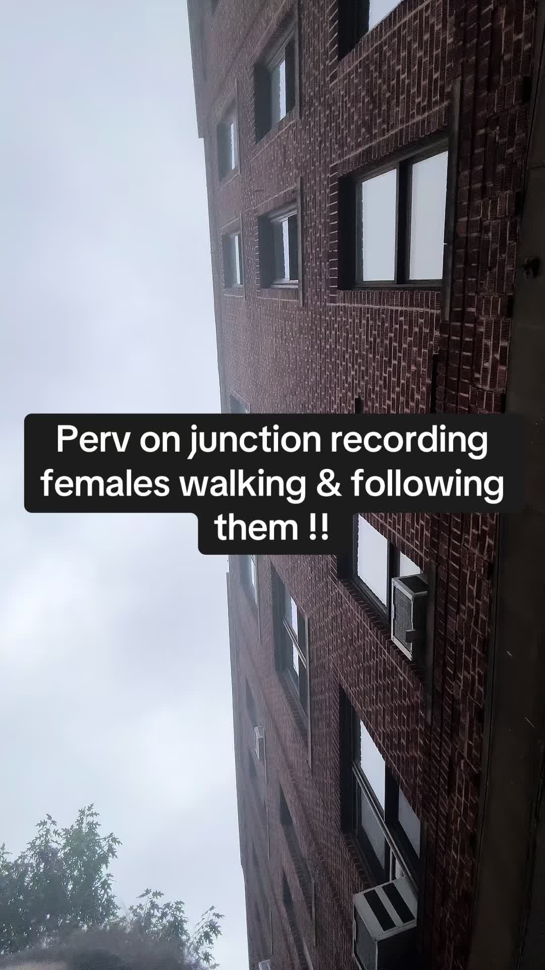 @OriginalForeign👑