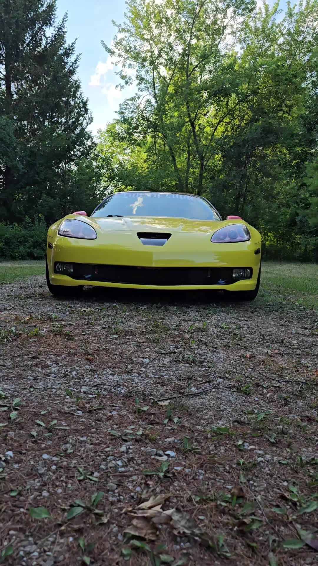 @AnimeVette