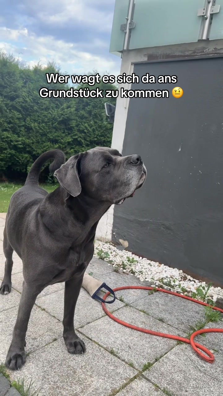@luca29.7