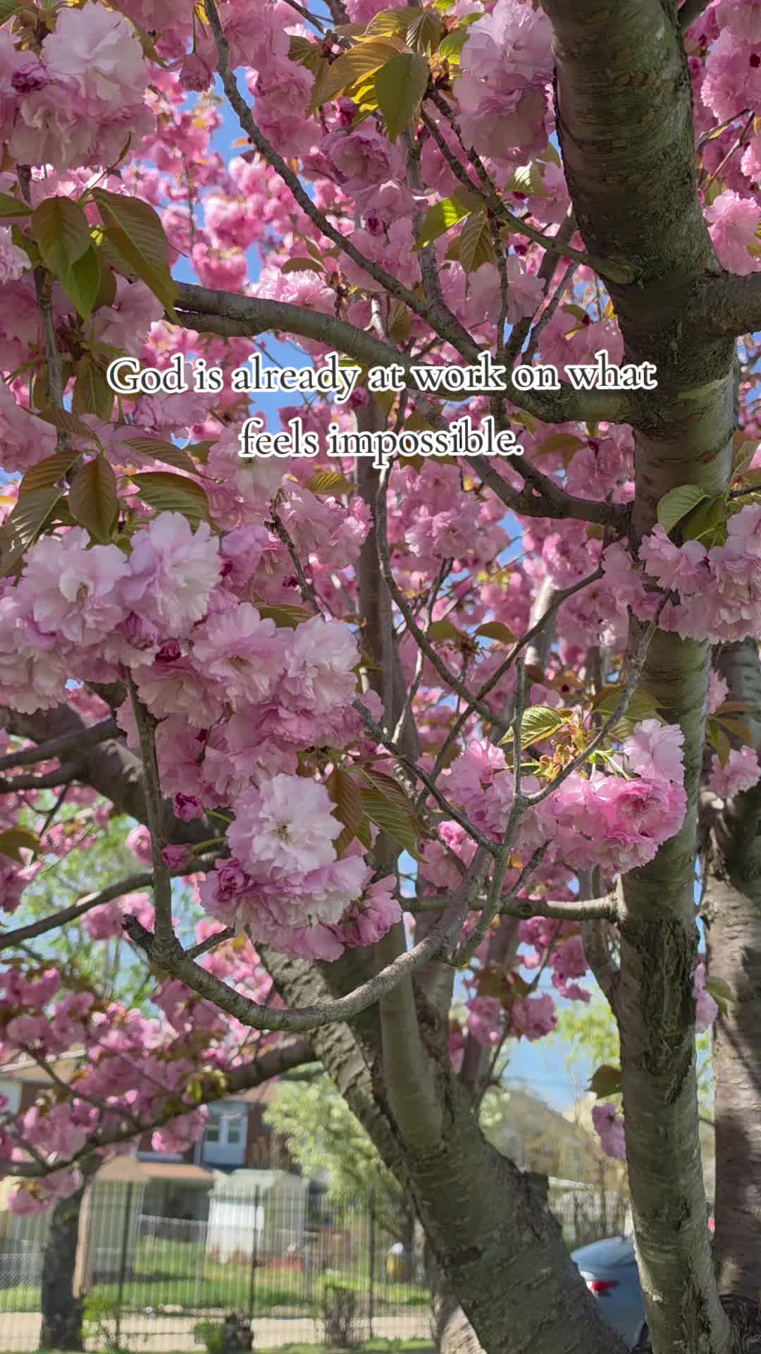 @heatherhasfaith✝️