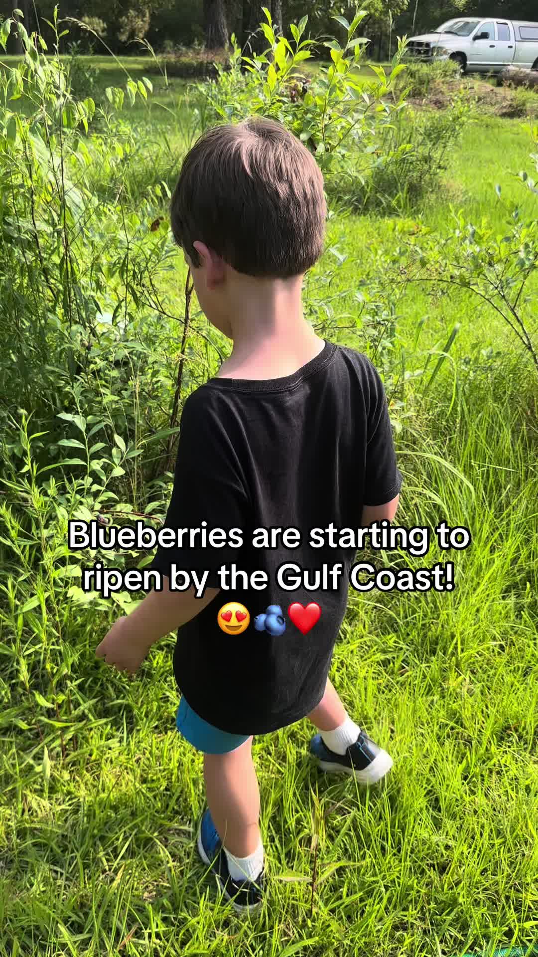 @Old_Stillmore_Homestead