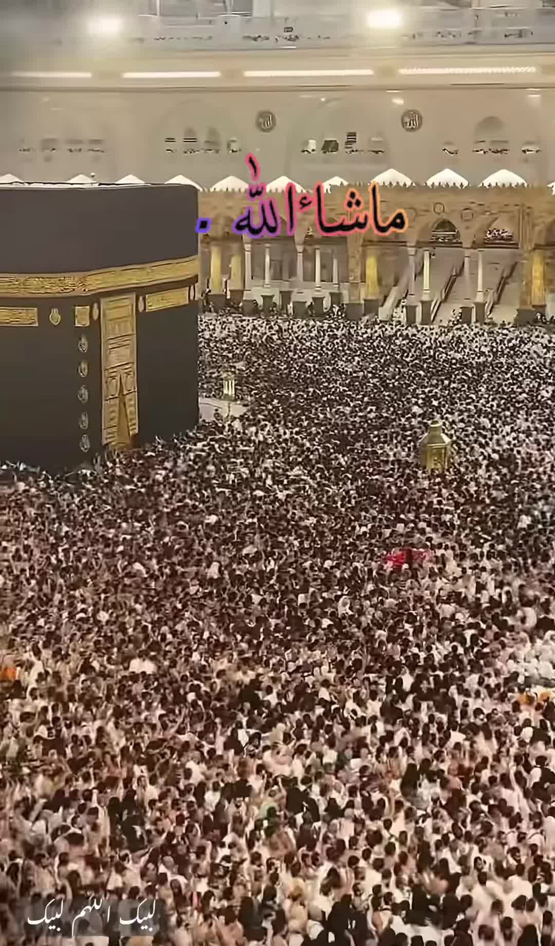 @Gulkhan🫶🏻