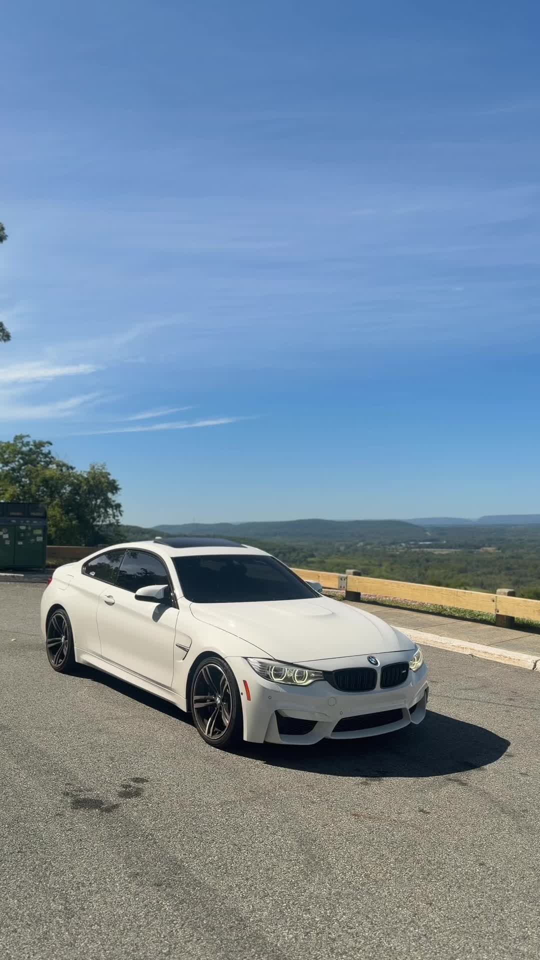 @alpinef8x
