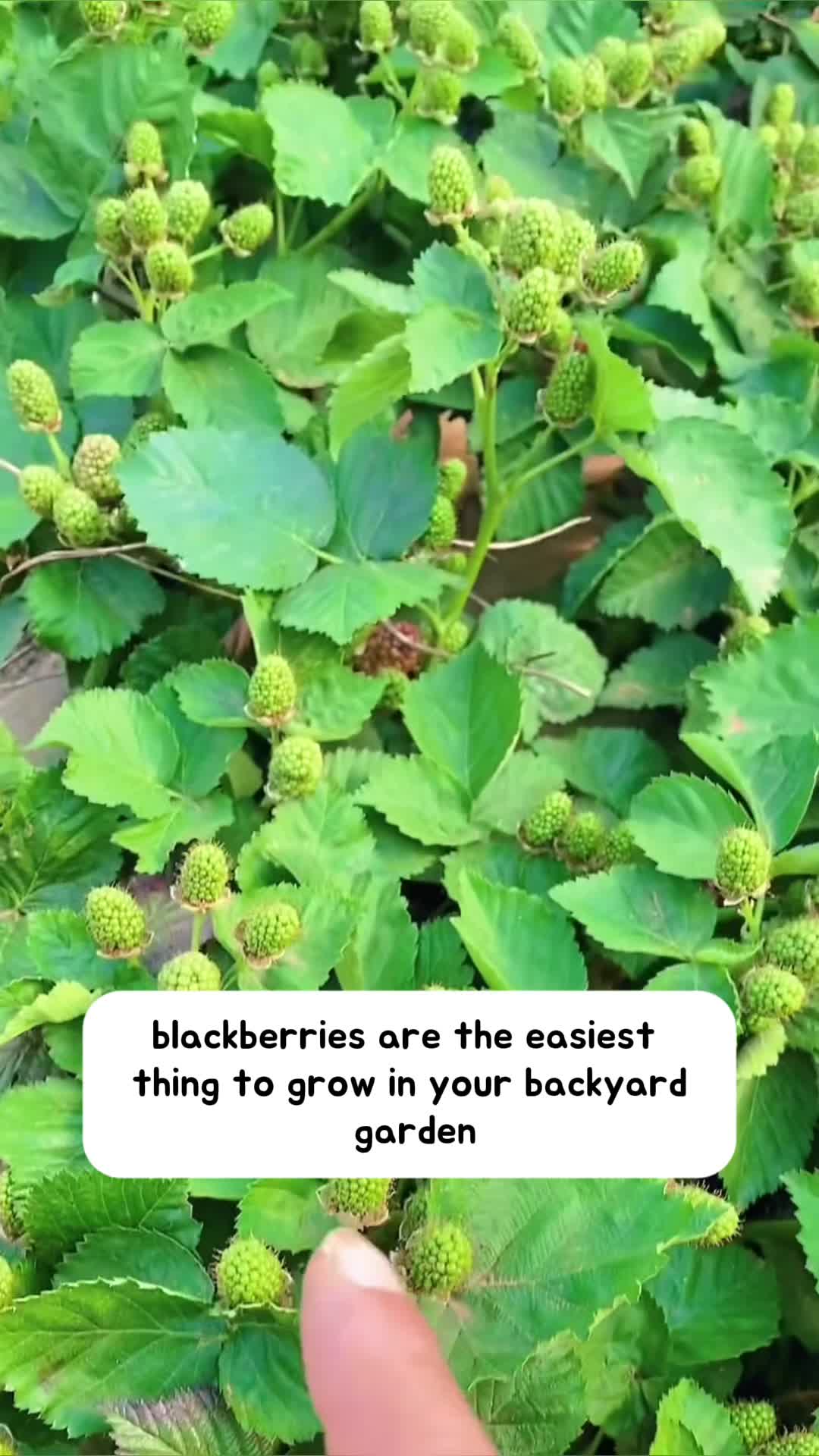 @1