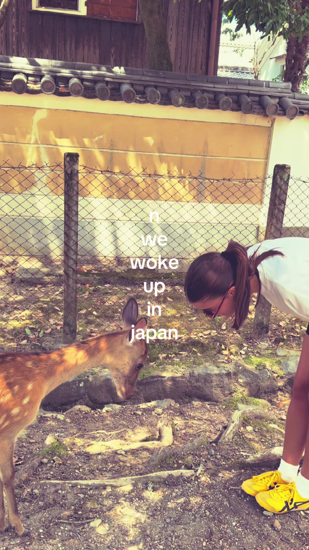 @Chiara