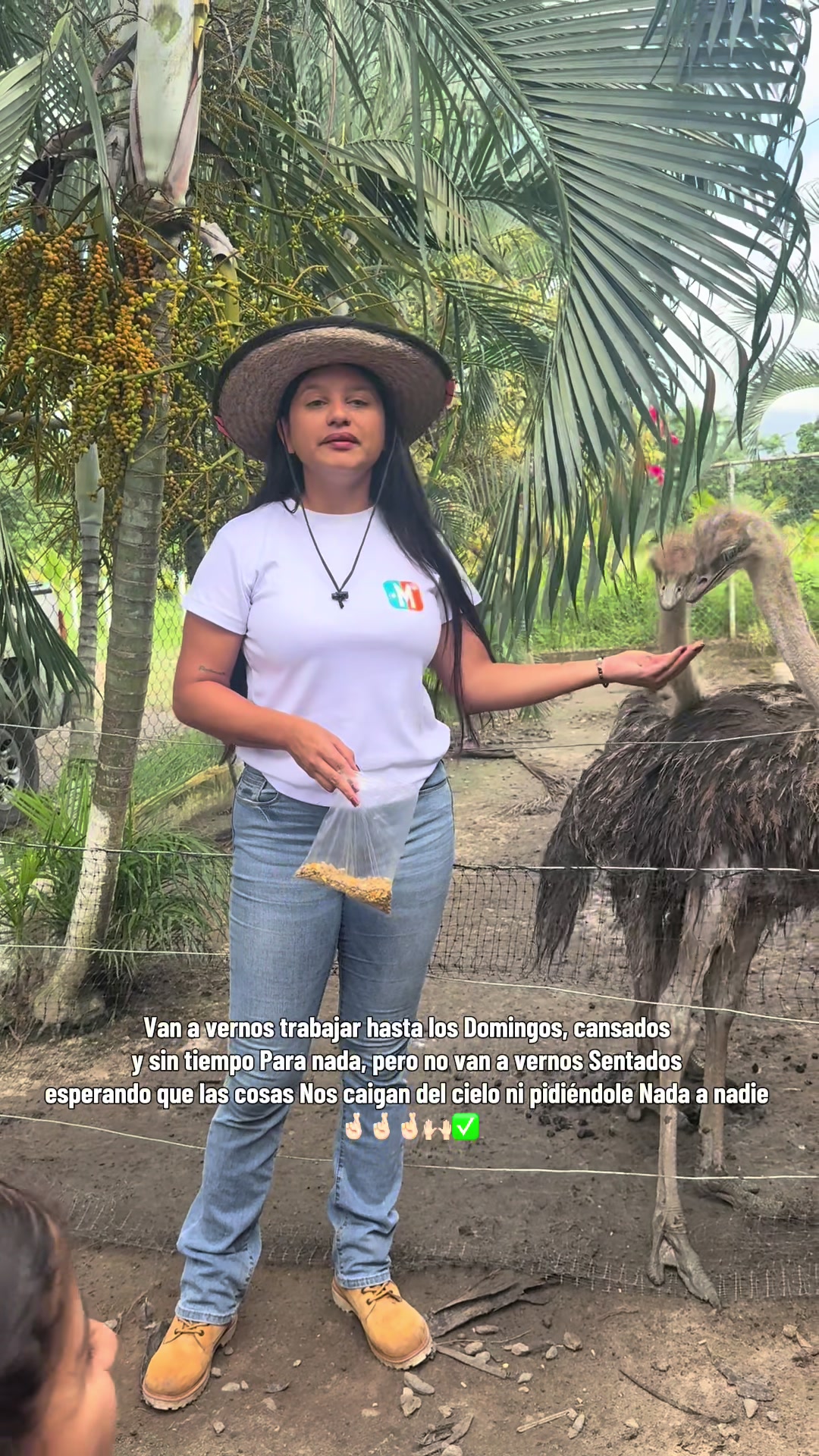 @Granjamascotalandiayaracuy