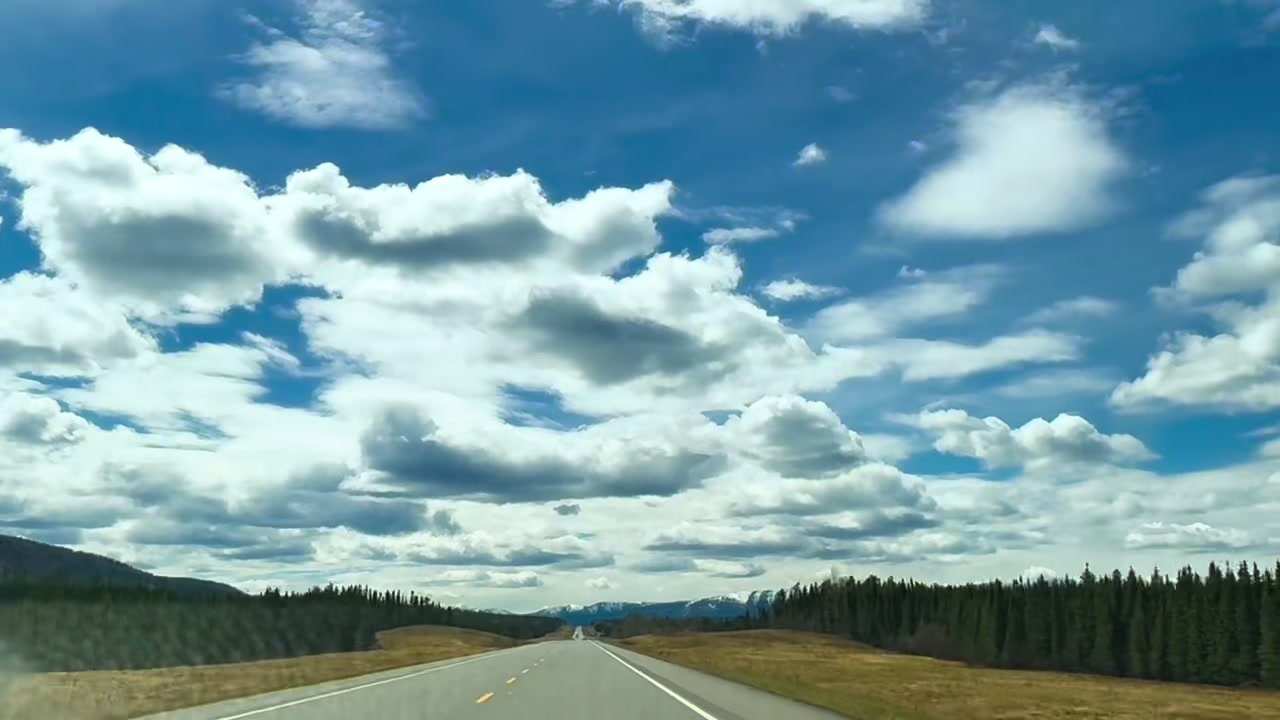 @HeatherFeatherTellstheWeather