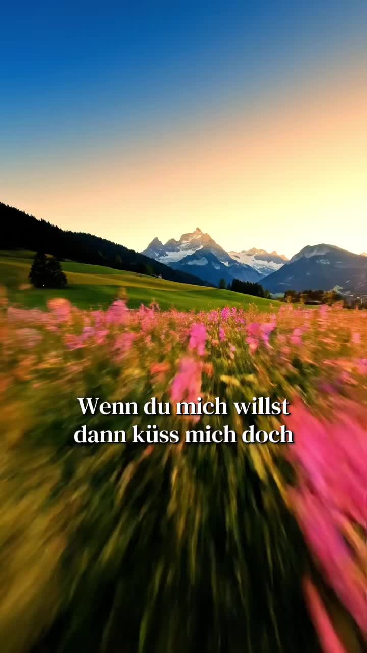@DEUTSCHE HITS