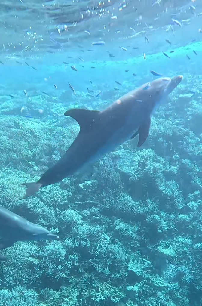 @Ralph Makadi