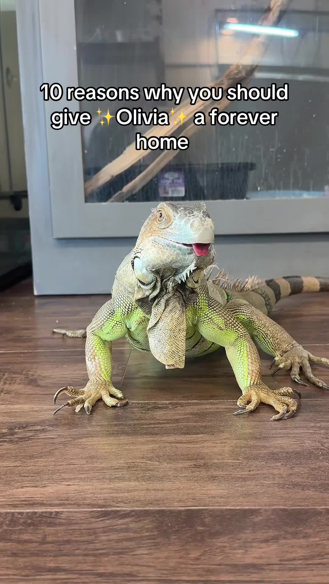 @Jenna