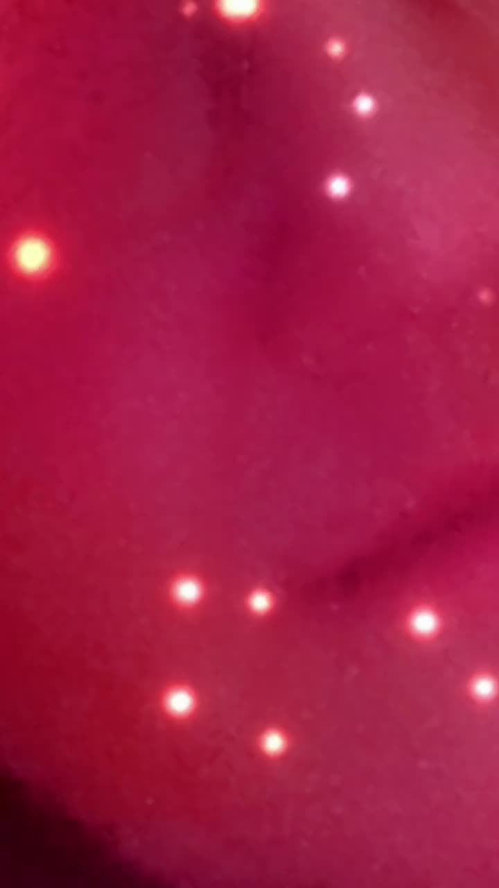 @vita mia 💕🌈🌈