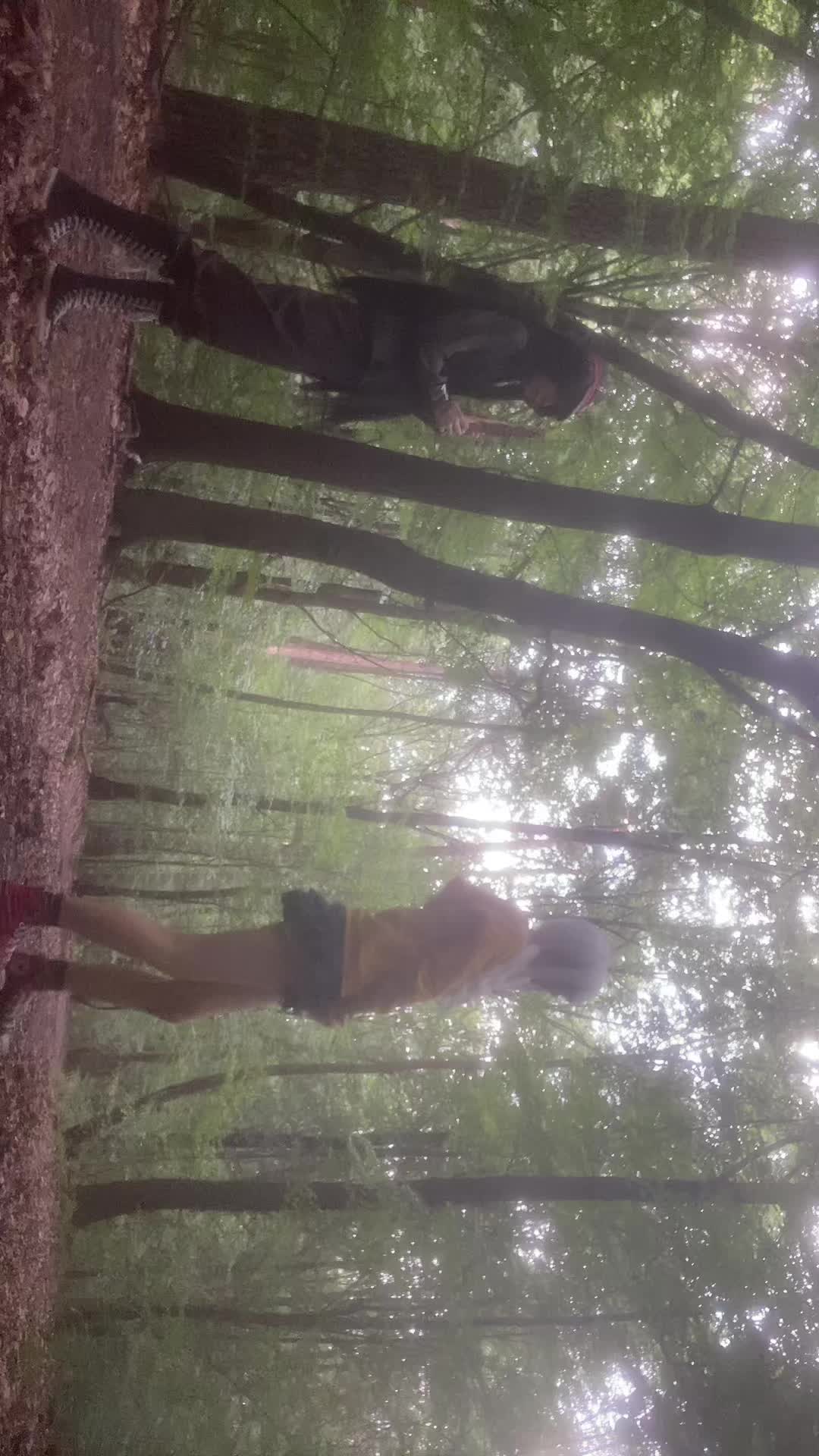 @Max._.donalds