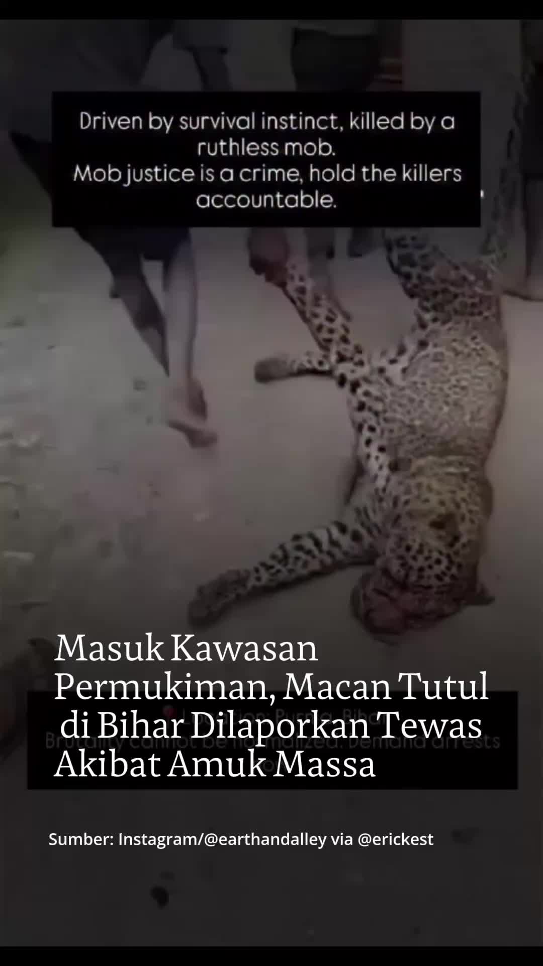 @mongabayindonesia
