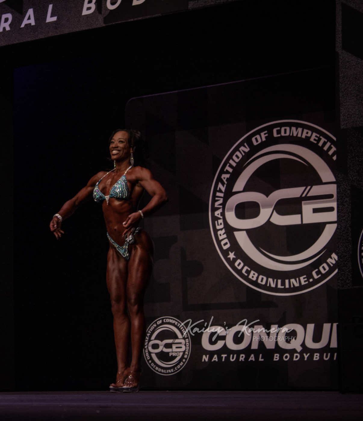 @terryocbfigurepro