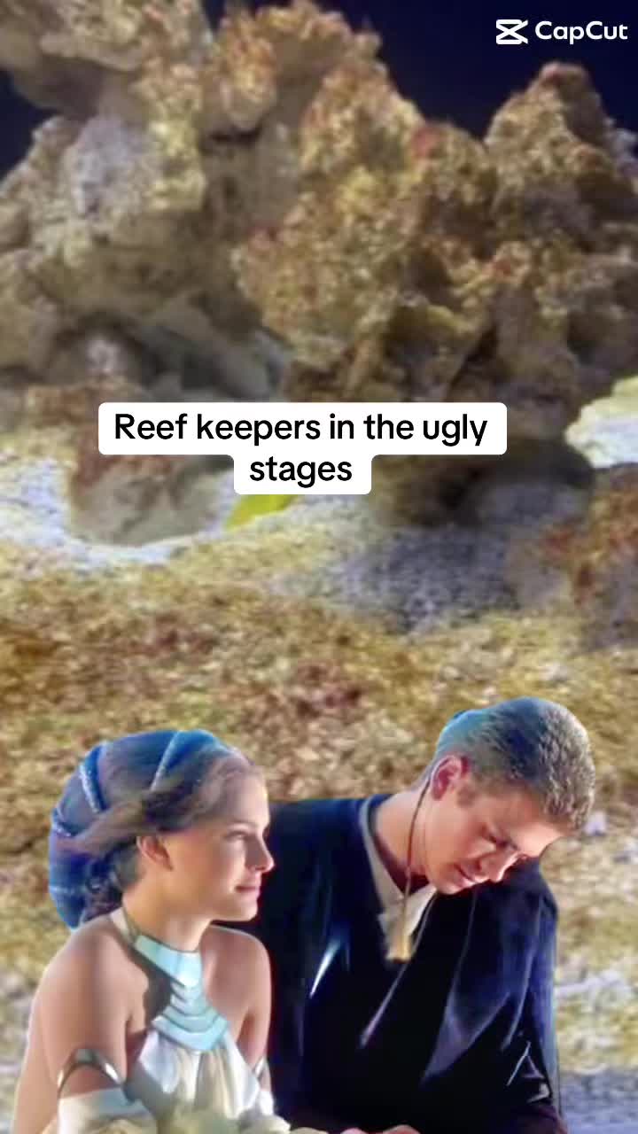 @ReefTok