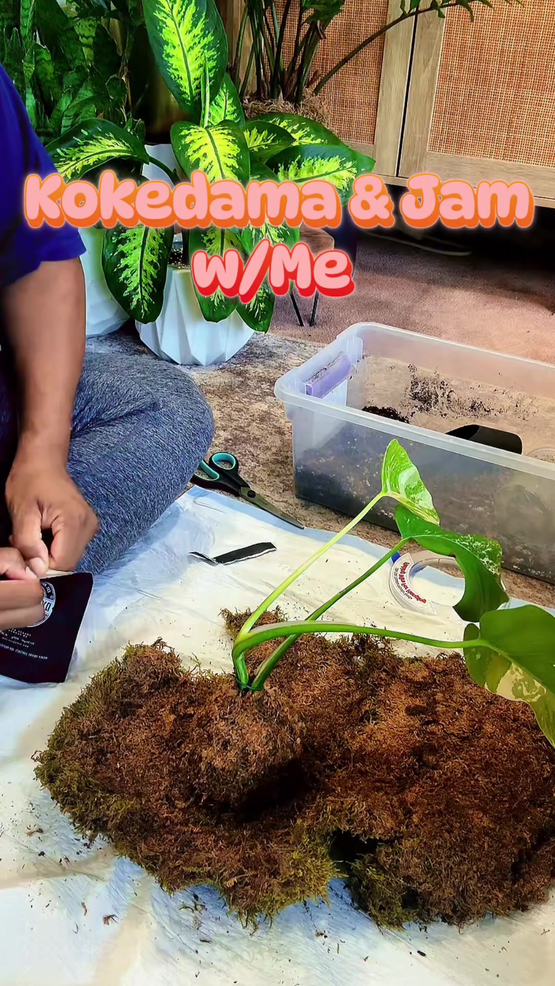 @PlantLadyNico🪴