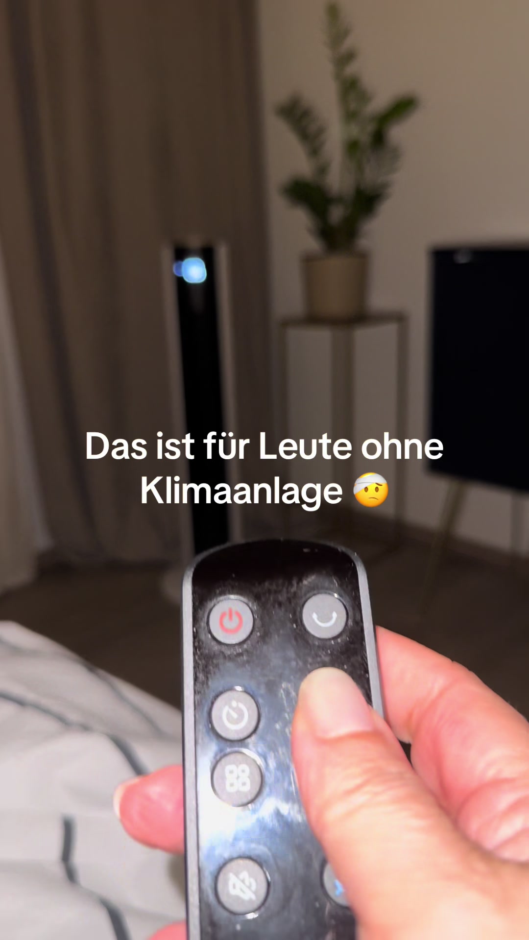 @olia