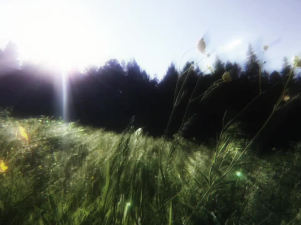 @𝘿𝙄𝙂𝙄𝙏𝘼𝙇𝙄𝙎
