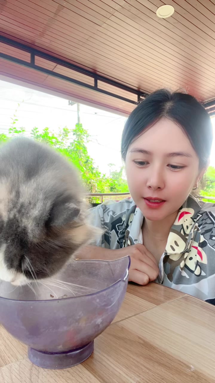 @Pc Phatcha (ช่องจริง) 10,000++