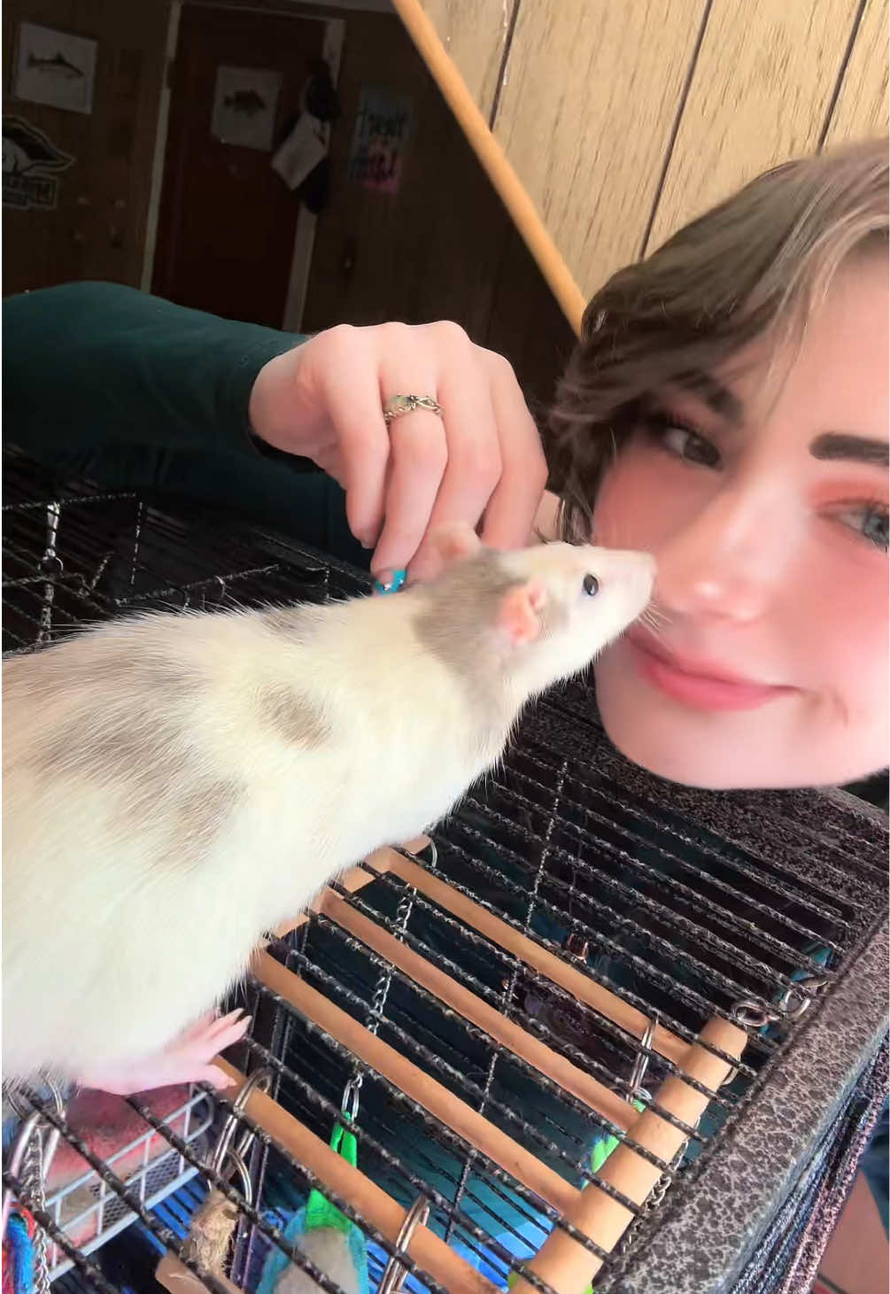 @lookatmyrodents