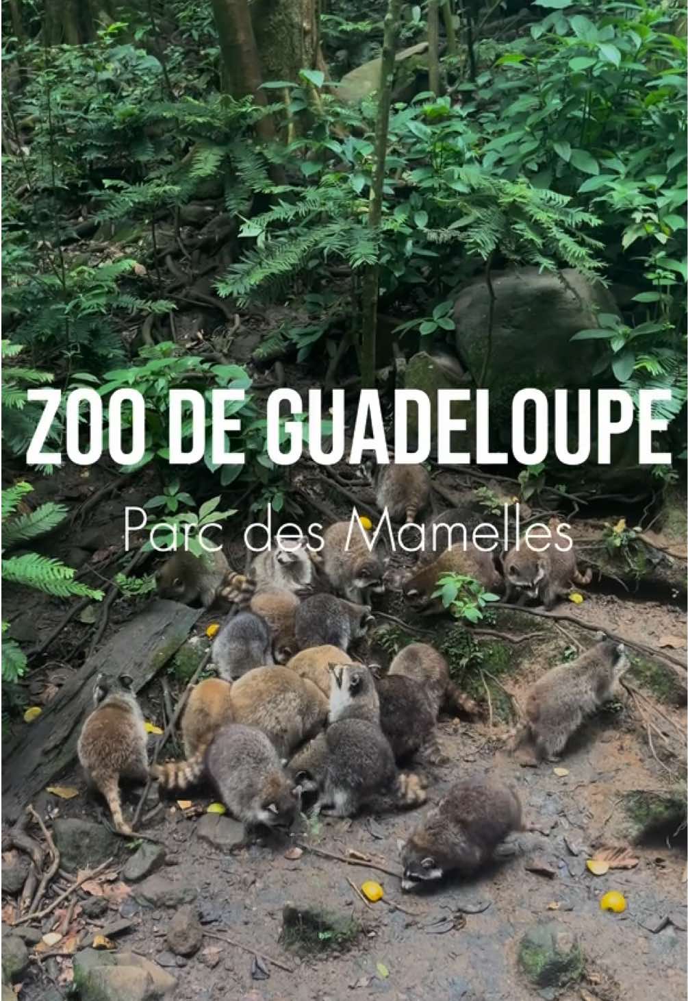 @𝑇𝑒𝑠𝑠𝑎 🎀