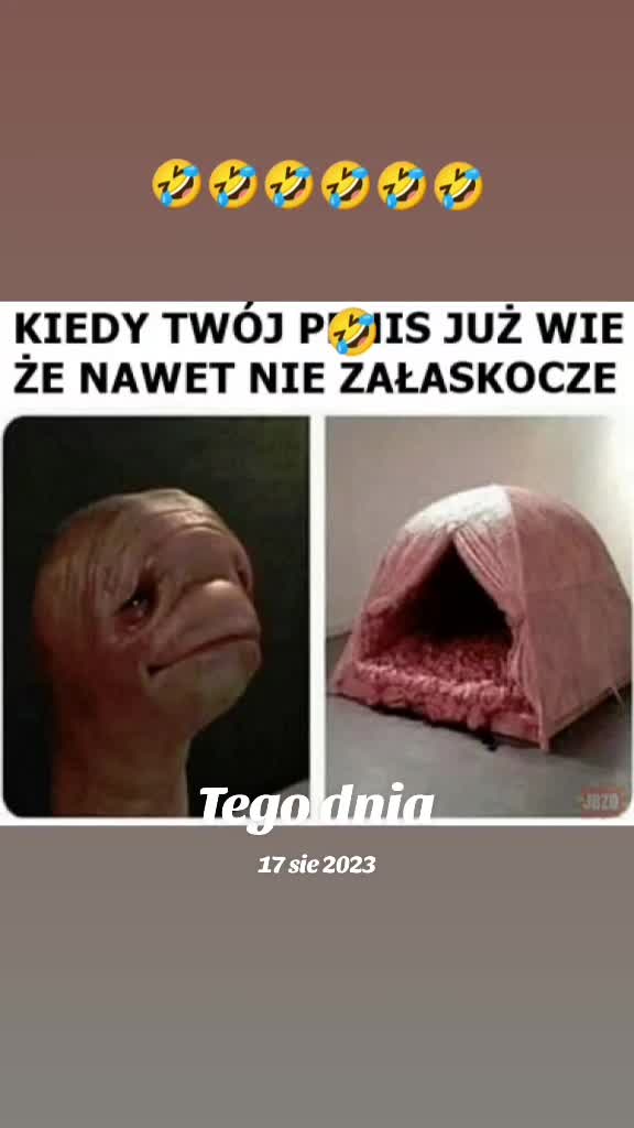 @Wojtuś 🤪🤪