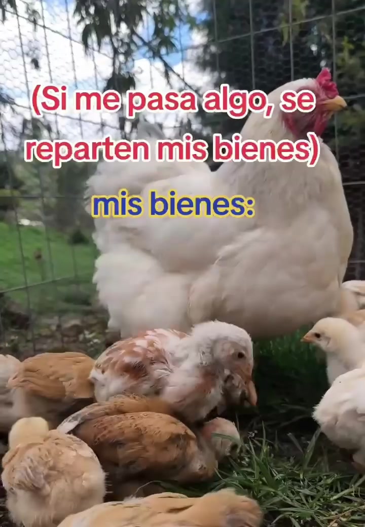 @Acero218