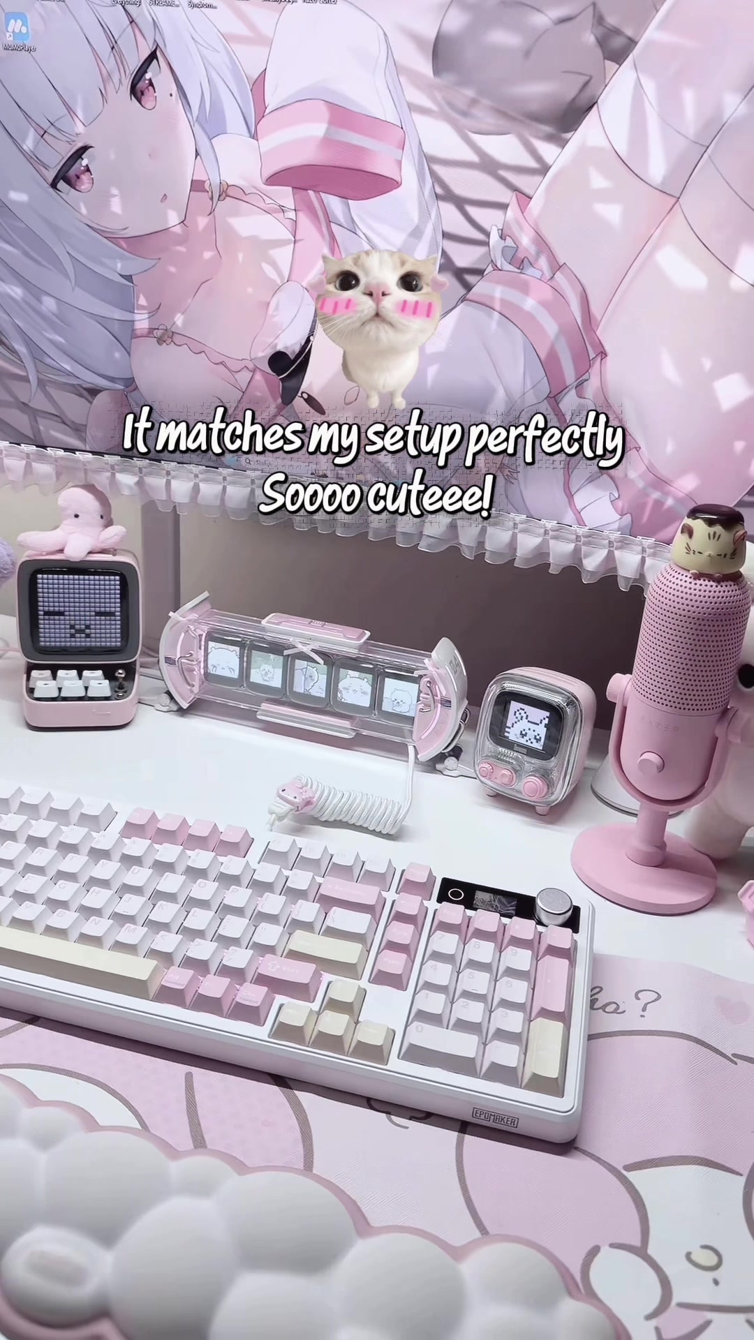 @/ᐠ ˵> ⩊ <˵マ