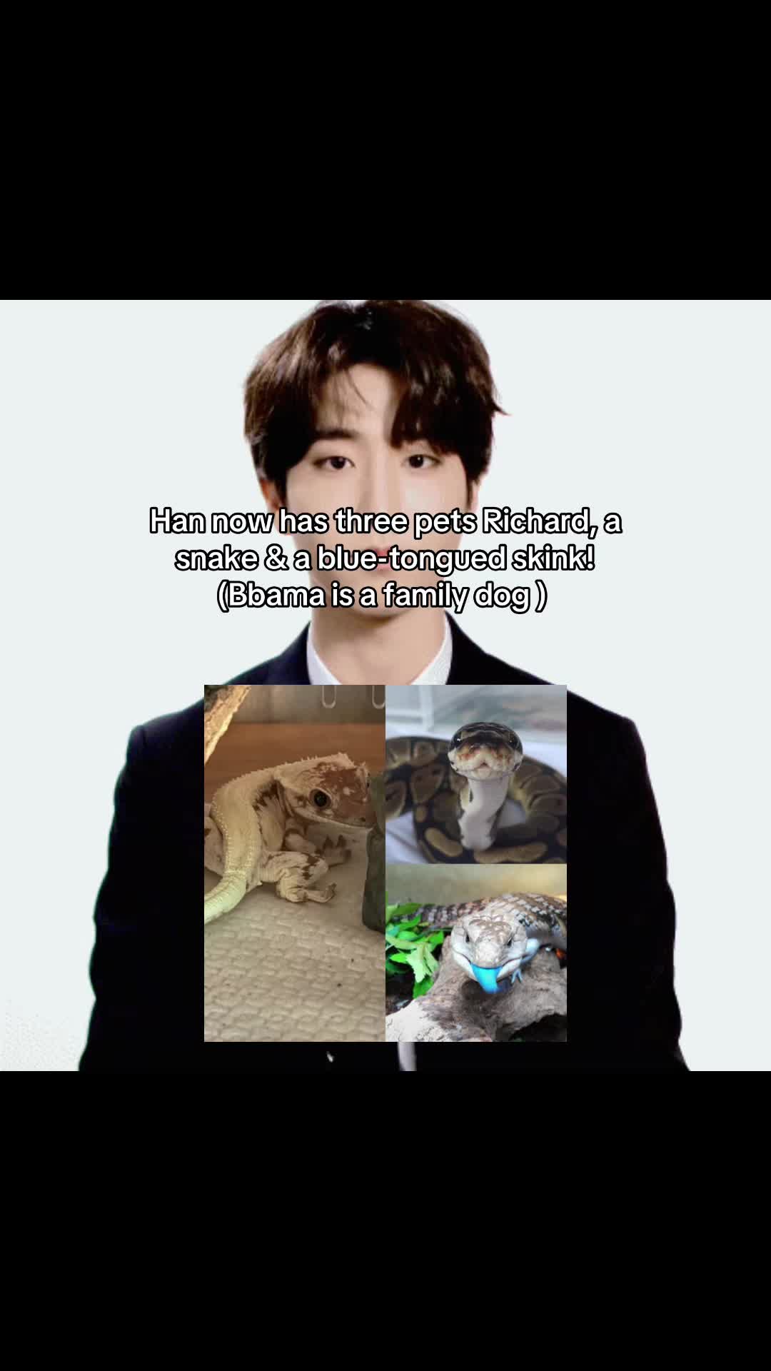 @𝒜𝓇𝒾𝒶🐆