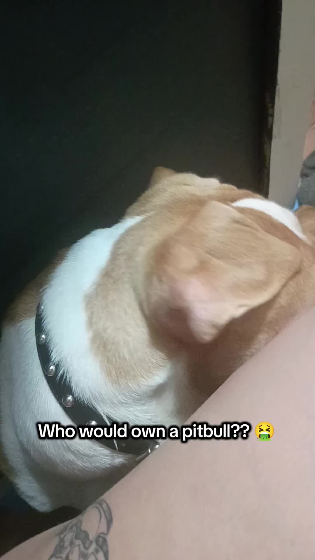@decayincr0w