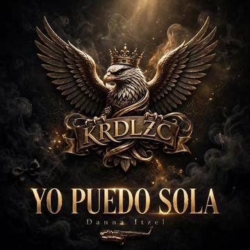 @karadi lzc