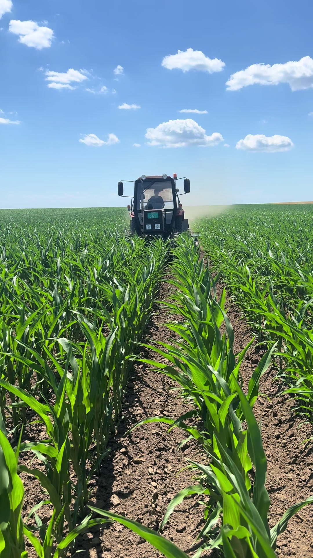 @Agriculture_vojvodina